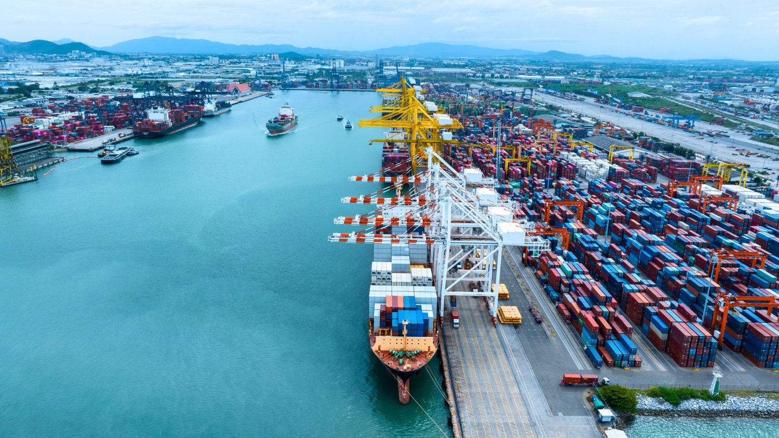 forwarding logistica
